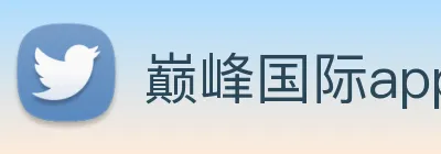 巅峰国际app苹果官网 logo